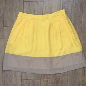 J.Crew Skirt